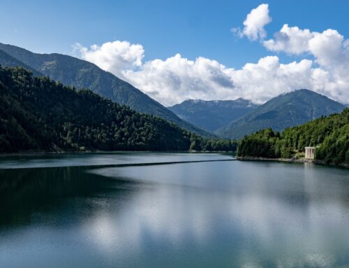 Rückmeldung aus der Schweiz